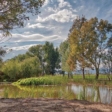 La Illeta Villa Делтебре Екстериор снимка