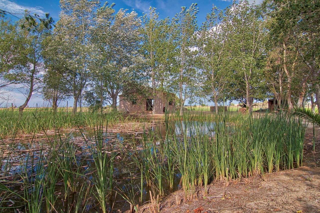 La Illeta Villa Делтебре Екстериор снимка
